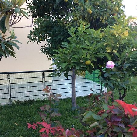 Ourania'S Apartments Камена-Вурла Екстер'єр фото