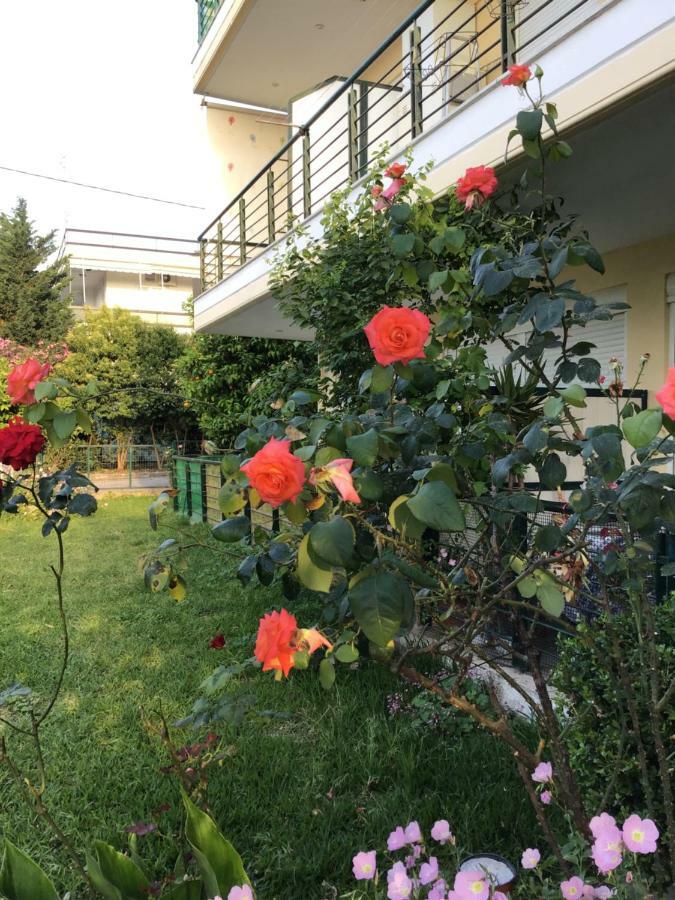 Ourania'S Apartments Камена-Вурла Екстер'єр фото